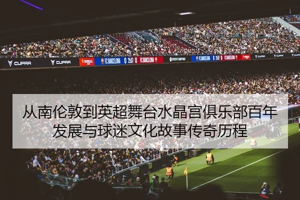 从南伦敦到英超舞台水晶宫俱乐部百年发展与球迷文化故事传奇历程 - 新闻资讯相关报道缩略图