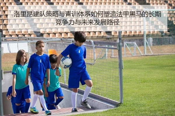 luo-li-ang-jian-dui-ce-lve-yu-qing-xun-ti-xi-ru-he-su-zao-fa-jia-hei-ma-de-chang-qi-jing-zheng-li-yu-wei-lai-fa-zhan-lu-2-884.jpg